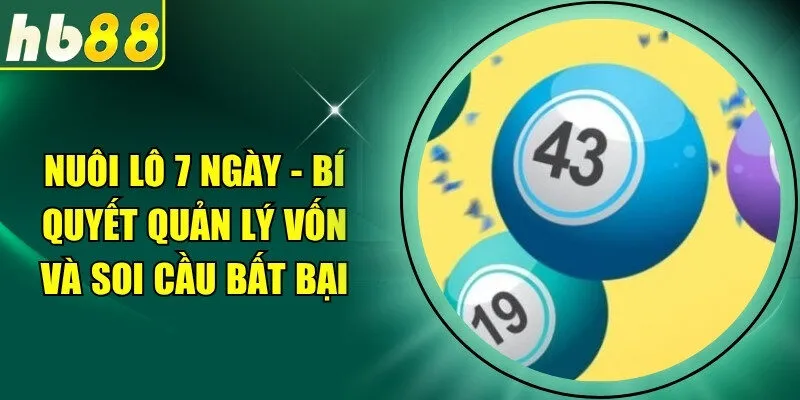 nuôi lô 7 ngày