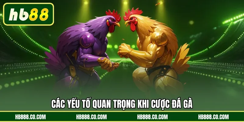 Các yếu tố quan trọng khi cược đá gà 
