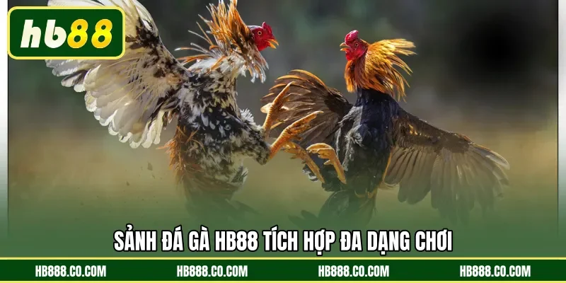 Sảnh Đá Gà HB88 tích hợp đa dạng chơi 