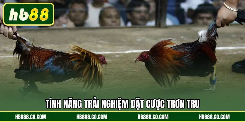 Tính năng trải nghiệm đặt cược trơn tru 